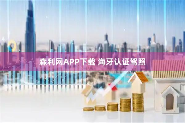 森利网APP下载 海牙认证驾照