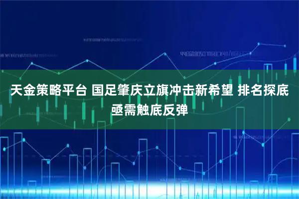 天金策略平台 国足肇庆立旗冲击新希望 排名探底亟需触底反弹