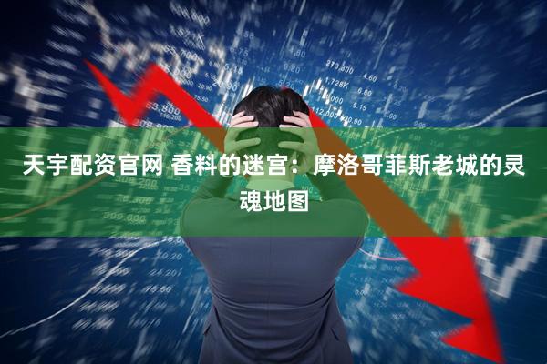 天宇配资官网 香料的迷宫：摩洛哥菲斯老城的灵魂地图