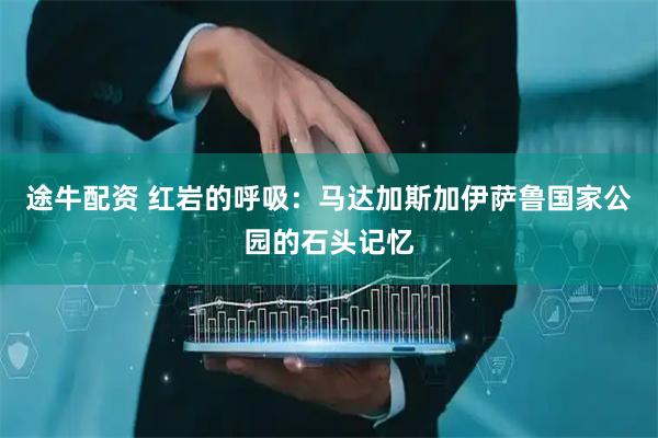 途牛配资 红岩的呼吸：马达加斯加伊萨鲁国家公园的石头记忆