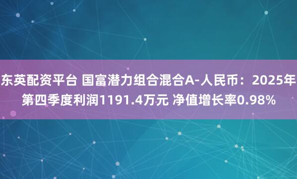 东英配资平台 国富潜力组合混合A-人民币：2025年第四季度利润1191.4万元 净值增长率0.98%