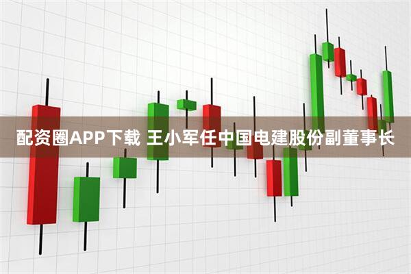 配资圈APP下载 王小军任中国电建股份副董事长