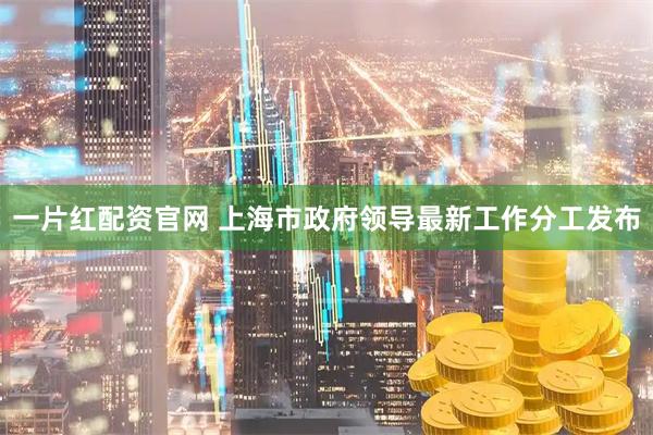 一片红配资官网 上海市政府领导最新工作分工发布